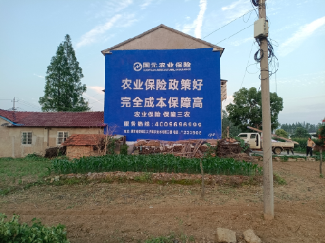 马边彝族自治县墙体广告的优劣势你知道吗？