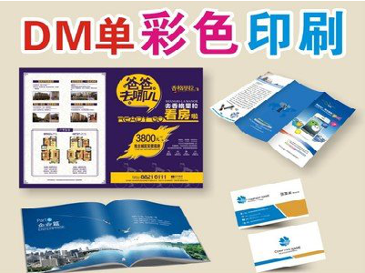 马边彝族自治县单页印刷，色彩搭配简单。